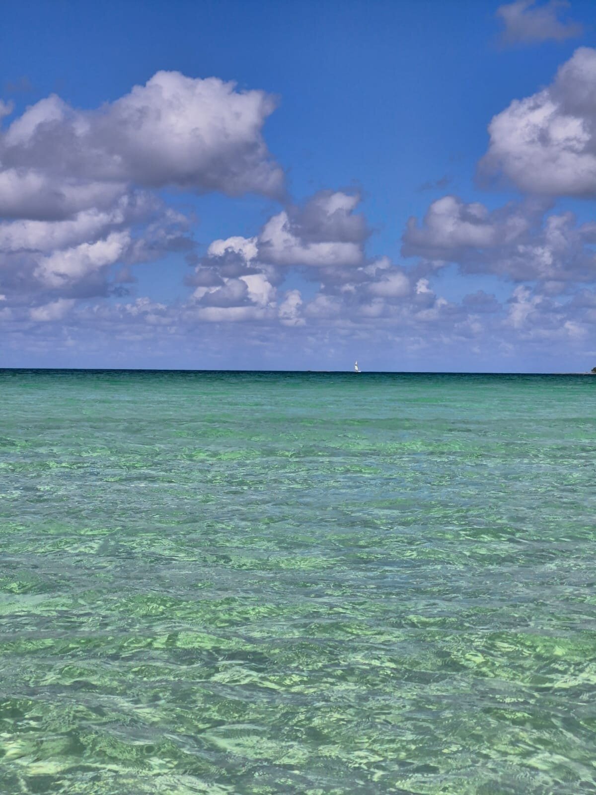 Iberostar Selection Ensenachos-泳池