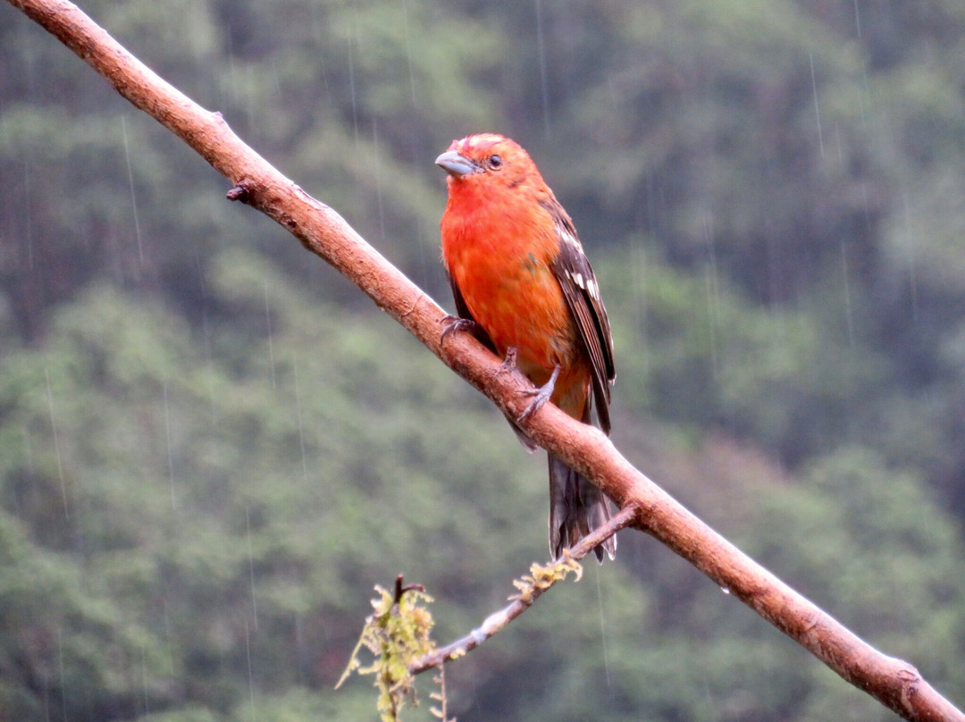 C. R. Referrals Travel-Atenas必去景点