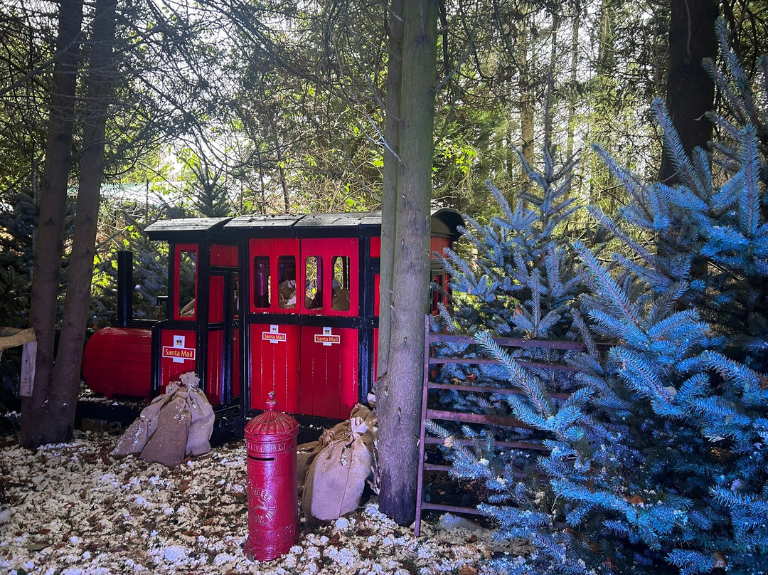 Santa's Grotto At Coolings Lifestyle-Knockholt必去景点