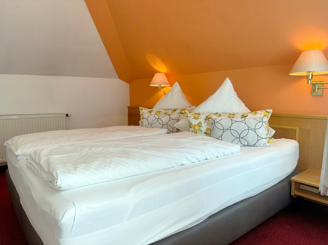 Rosenfeld酒店住宿-Hotel Thum