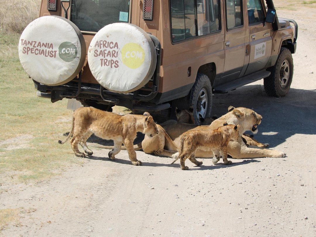 Tanzania Specialist-阿鲁沙必去景点