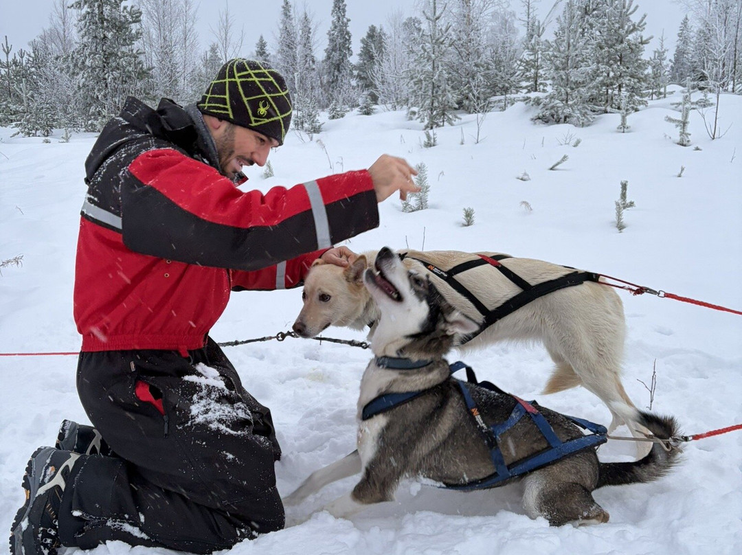Huskypoint-罗瓦涅米必去景点