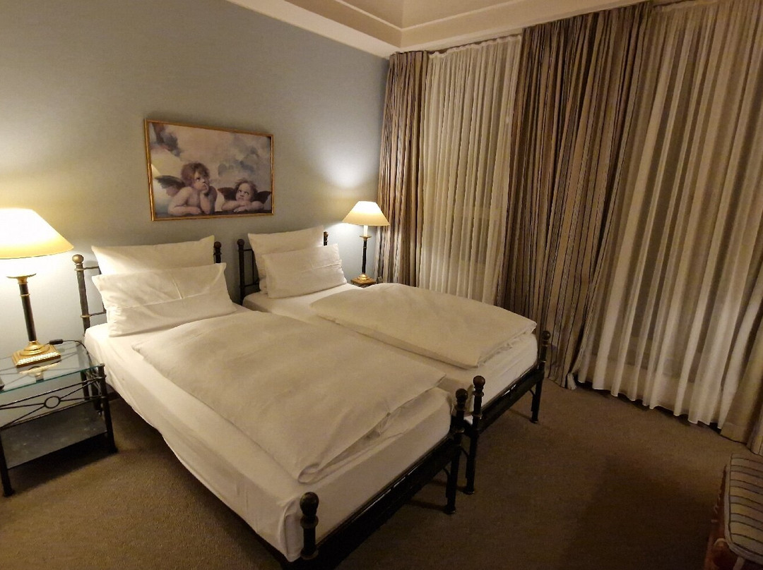 德勒斯顿艾尔贝弗伦萨酒店主图