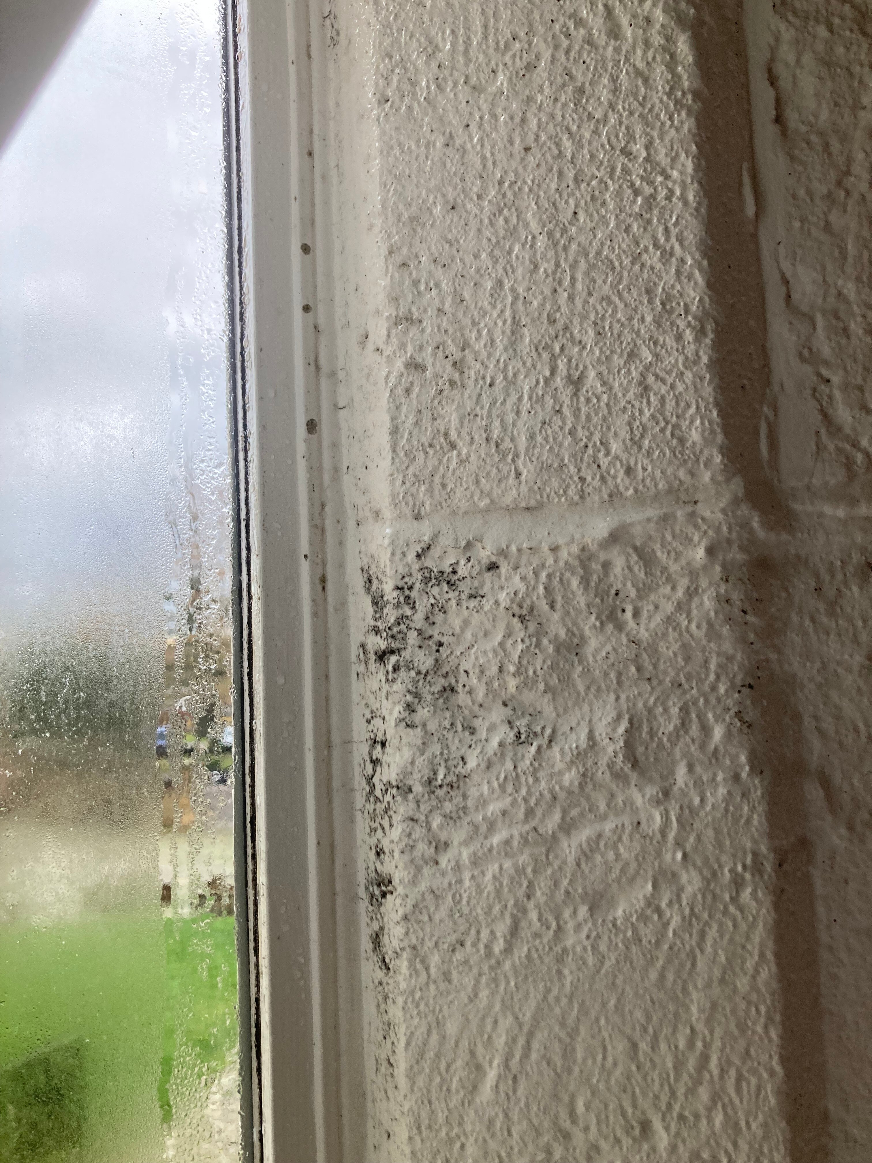 威特伍德豪尔酒店-官方