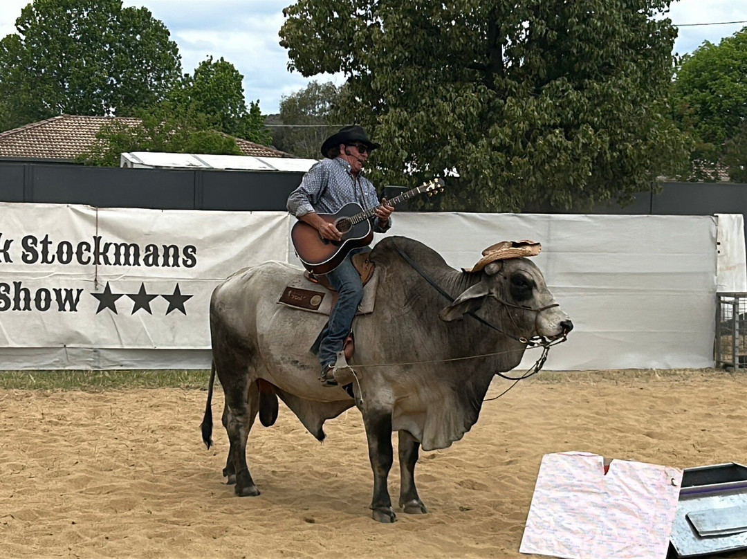 Fun Over Fifty-布里斯班必去景点