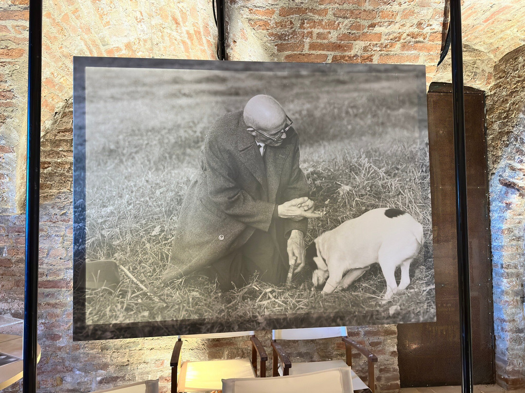 Castello DI Roddi-Roddi必去景点