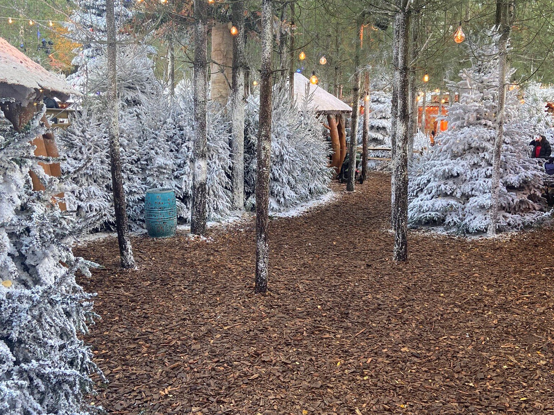 LaplandUK-Ascot必去景点