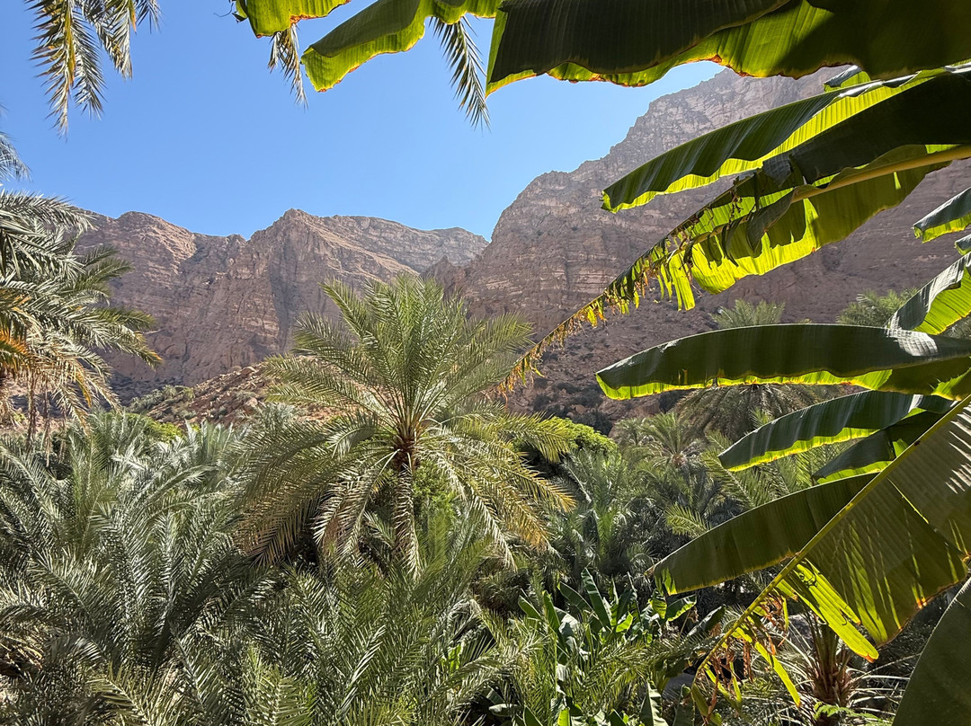 Shab Tours-马斯喀特必去景点