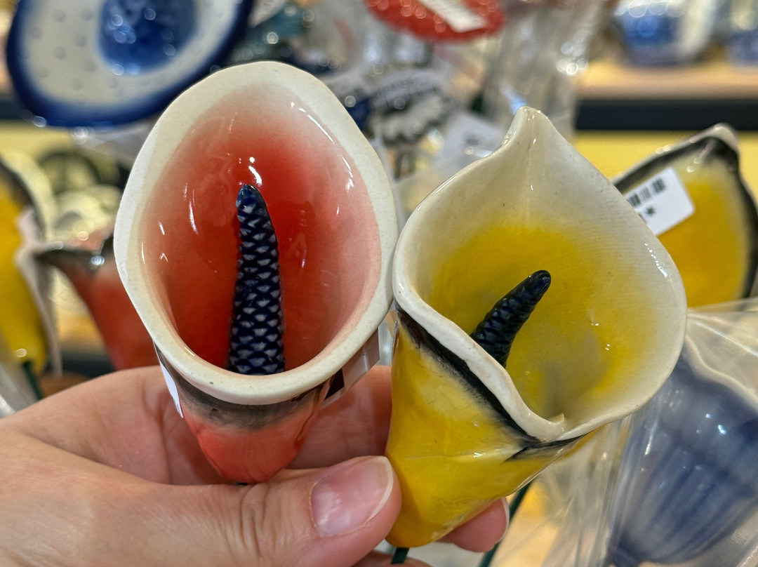 Polmedia Polish Pottery-塞金必去景点