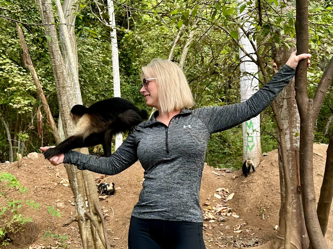 Piko Travel-艾拉杜拉必去景点