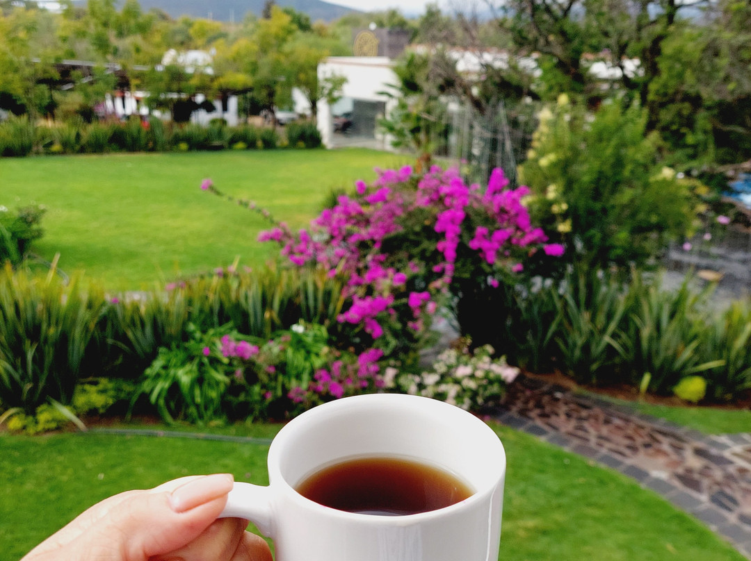 Yolihuani Relax Resort-Calvillo必去景点