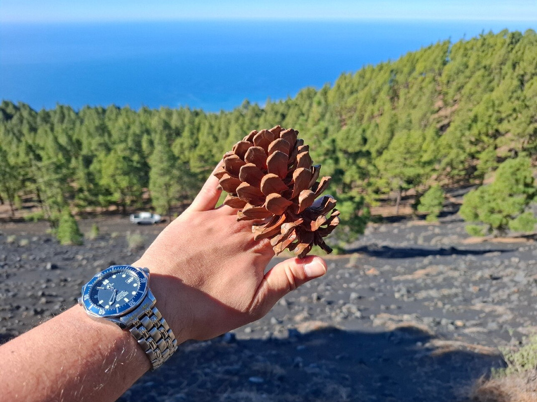 Ruta de Los Volcanes-La Palma必去景点