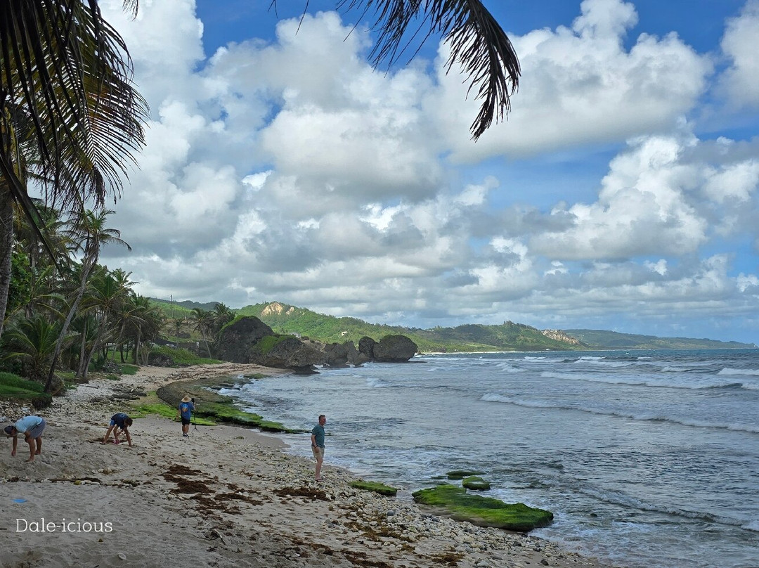 Bathsheba Beach-Bathsheba必去景点