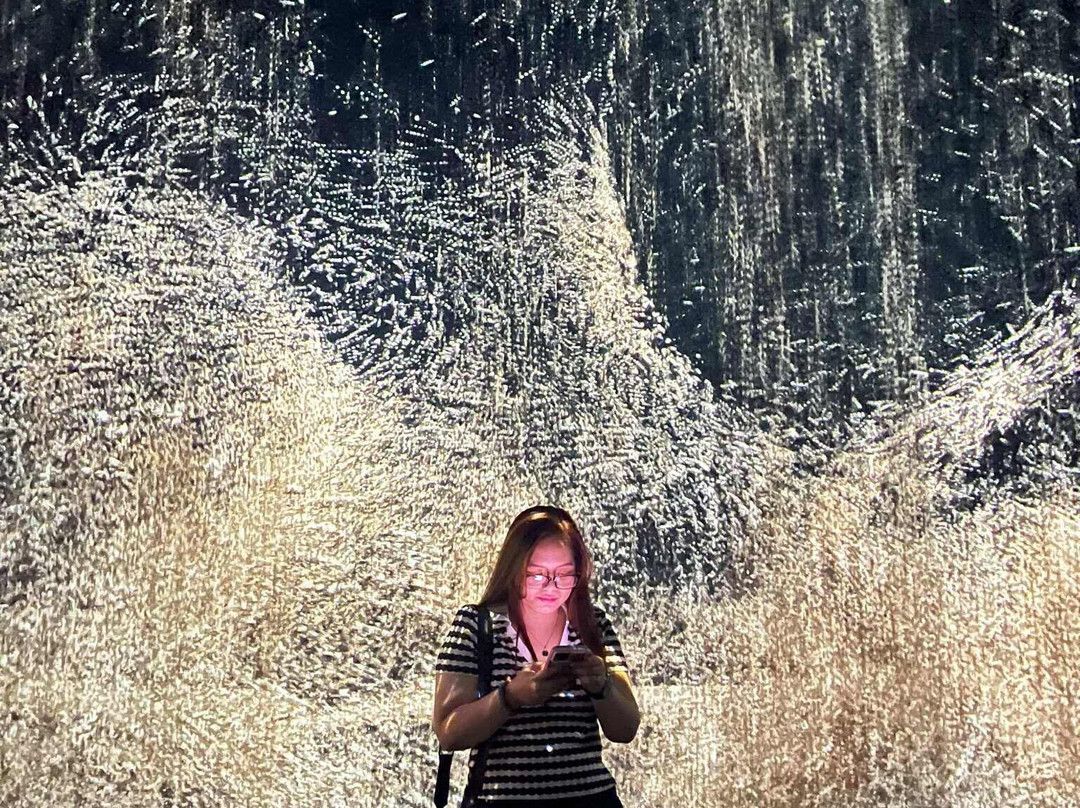 ARTE MUSEUM DUBAI-迪拜必去景点