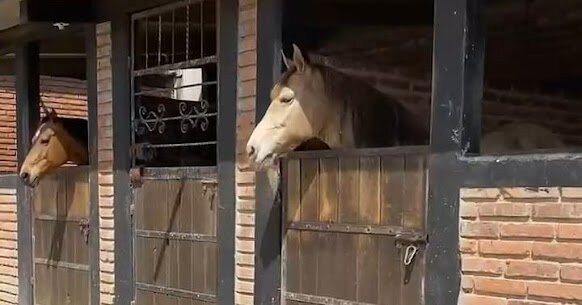 Santuario de las Luciérnagas - Bosque Mágico-Tlaxcala必去景点