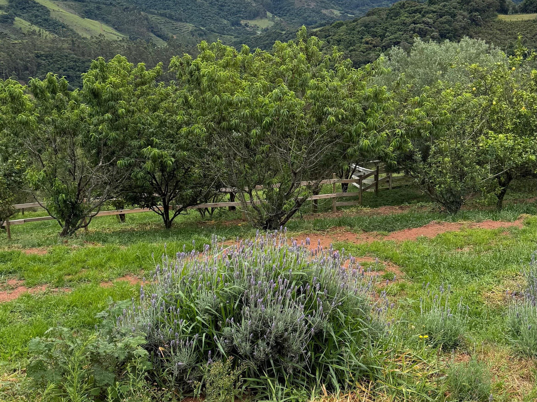 Fazenda Pica-Pau-Camanducaia必去景点