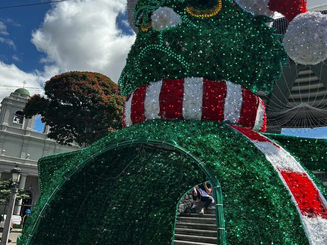 Hotel Milan Costa Rica主图