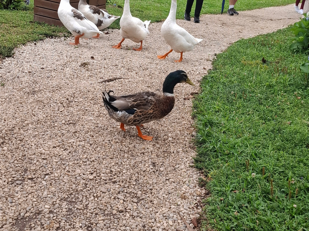 Parque da Lagoinha-坎普斯－杜若尔当必去景点