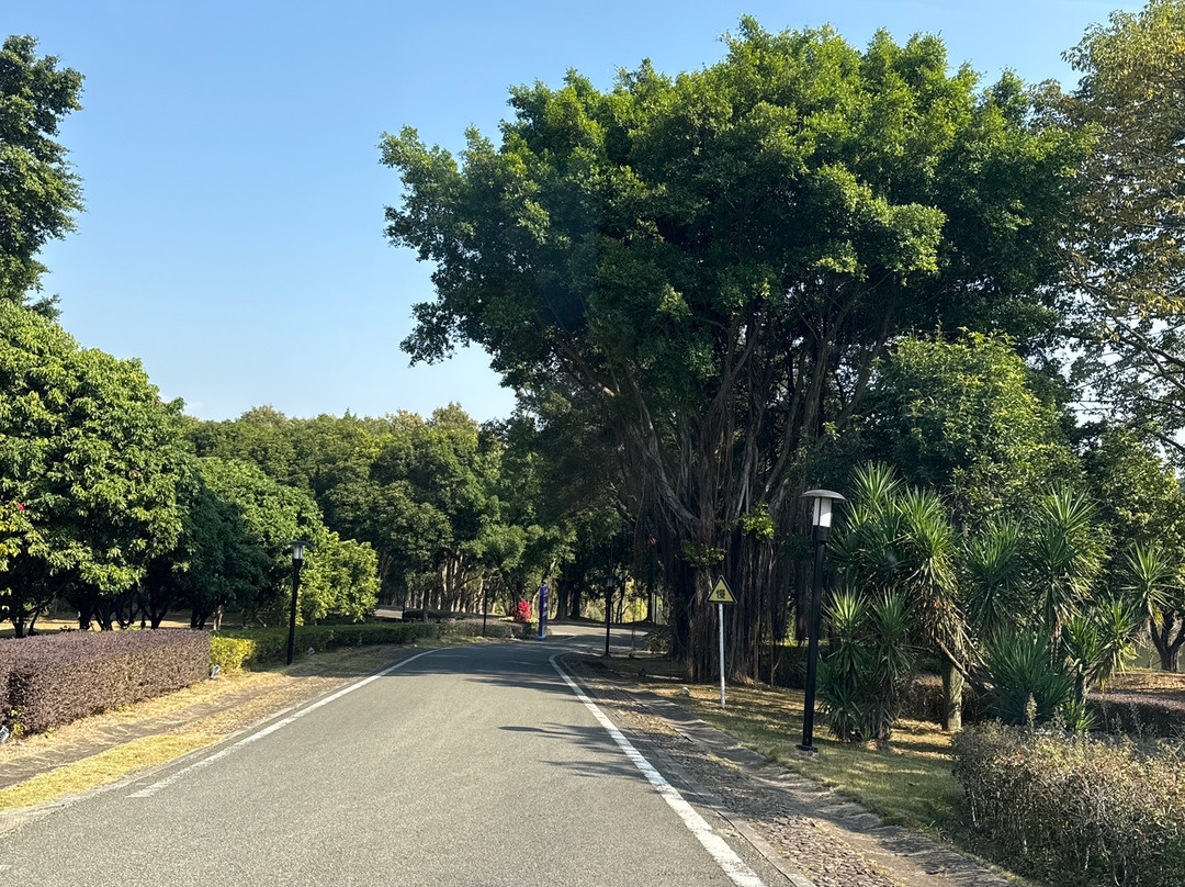 福建鲤鱼洲酒店主图