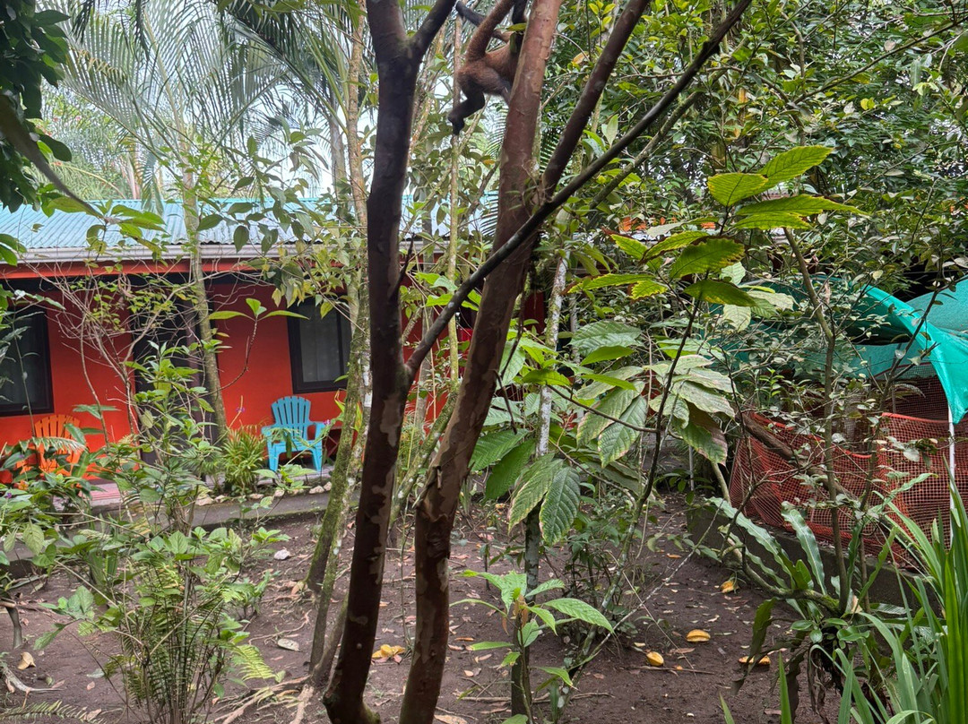 Aracari Garden Hostel主图