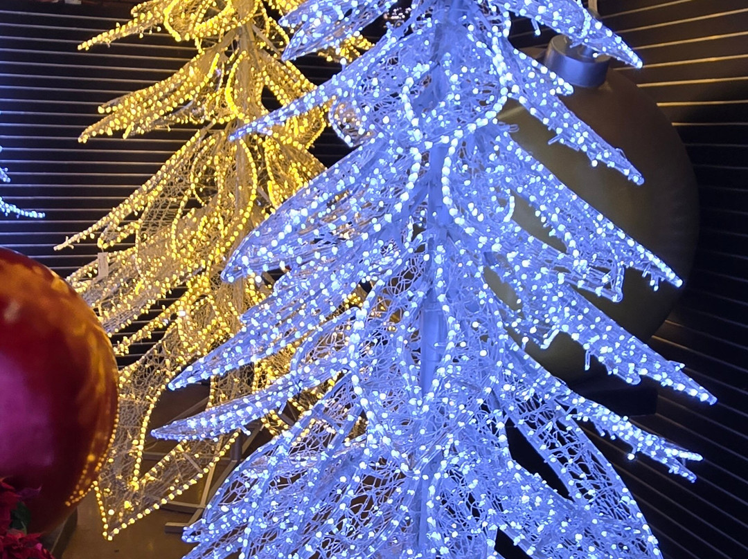 Decorator's Warehouse-阿灵顿必去景点