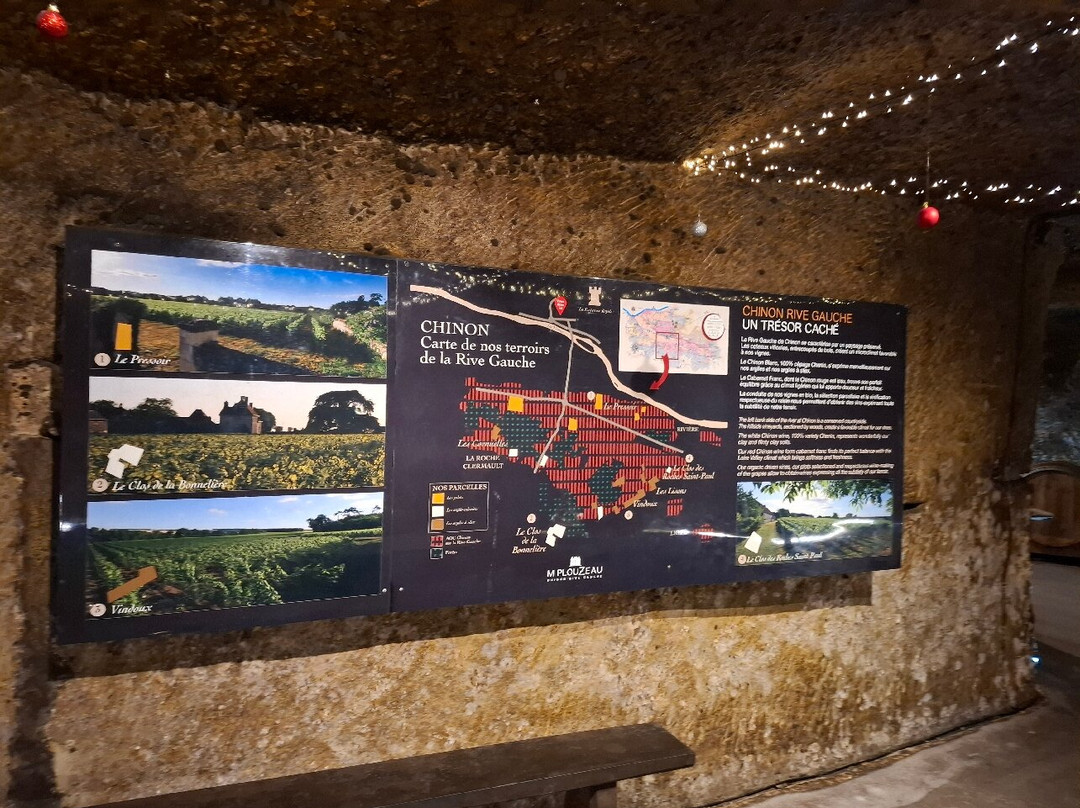 Caves Plouzeau-希农必去景点