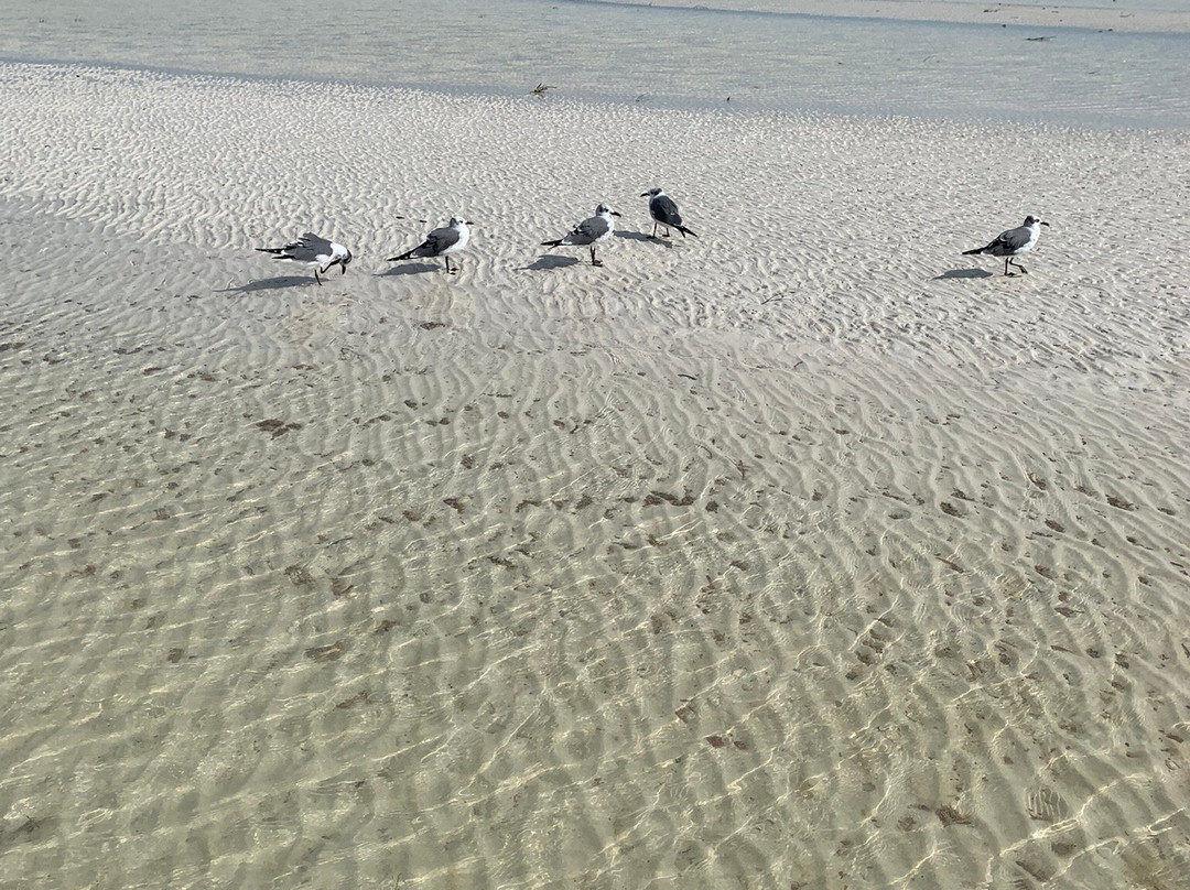 Punta Mosquito-Holbox Island必去景点