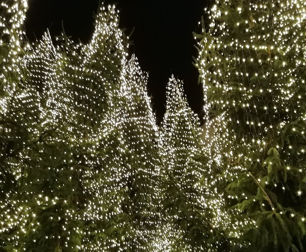 Schuhhof-戈斯拉尔必去景点