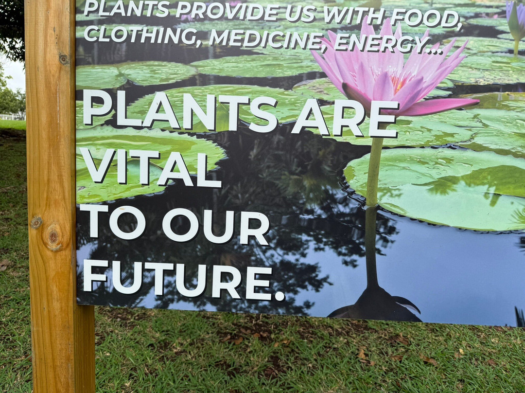 Sir Seewoosagur Ramgoolam Botanical Garden-庞波慕斯必去景点