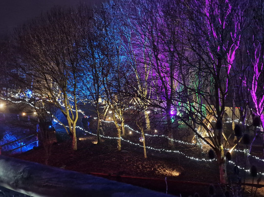 Tingley Garden Centre-利兹必去景点