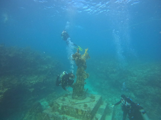 Blue Water Divers-拉哥岛必去景点