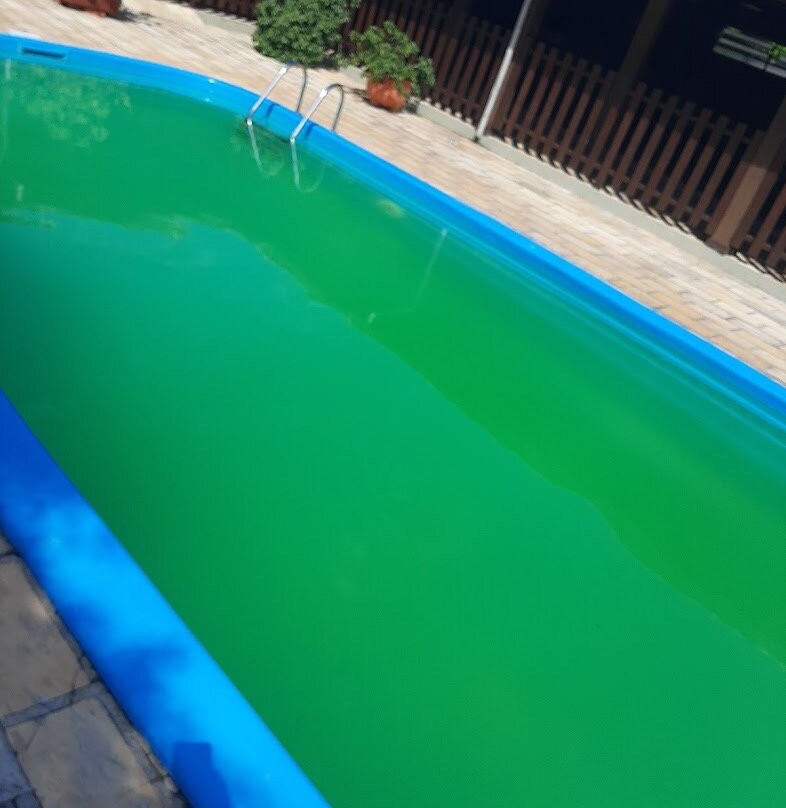 Flamboyant Hotel主图