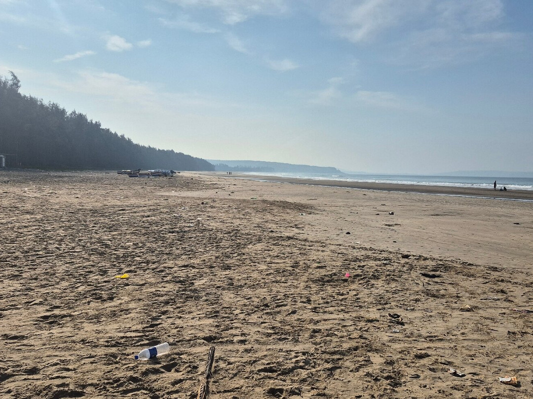 Nevare Beach (Kajirbhati)-勒德纳吉里必去景点
