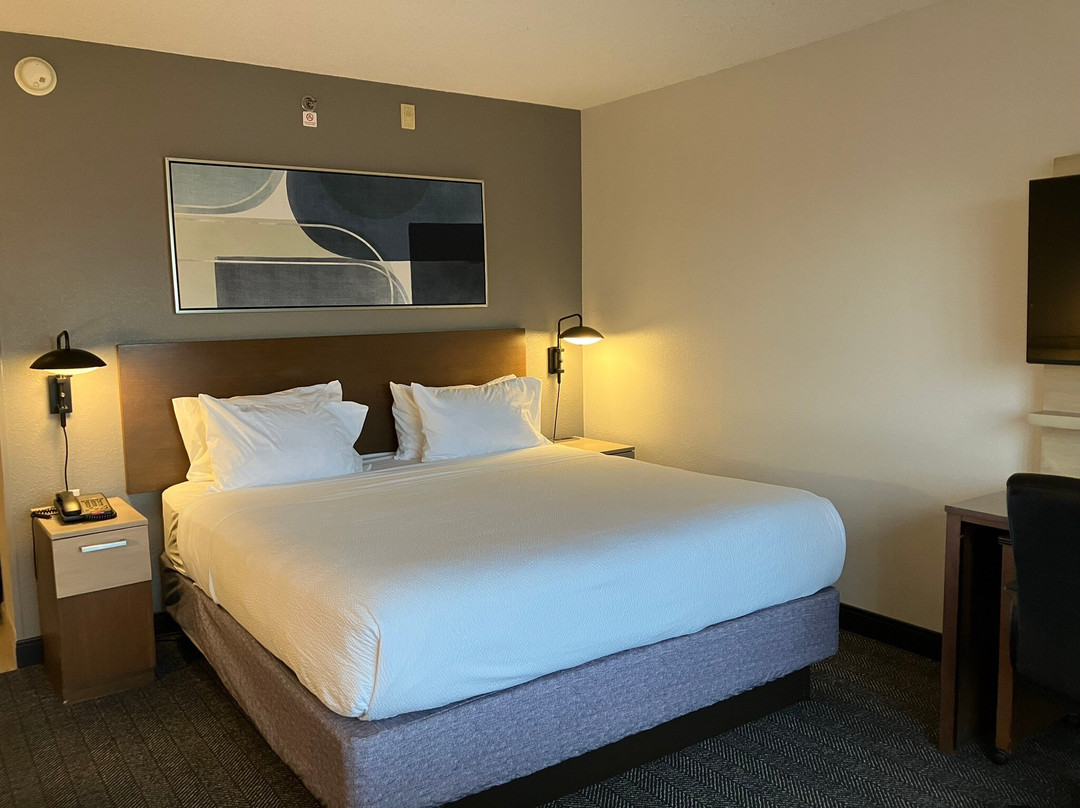 Courtyard by Marriott Orlando East/UCF Area主图