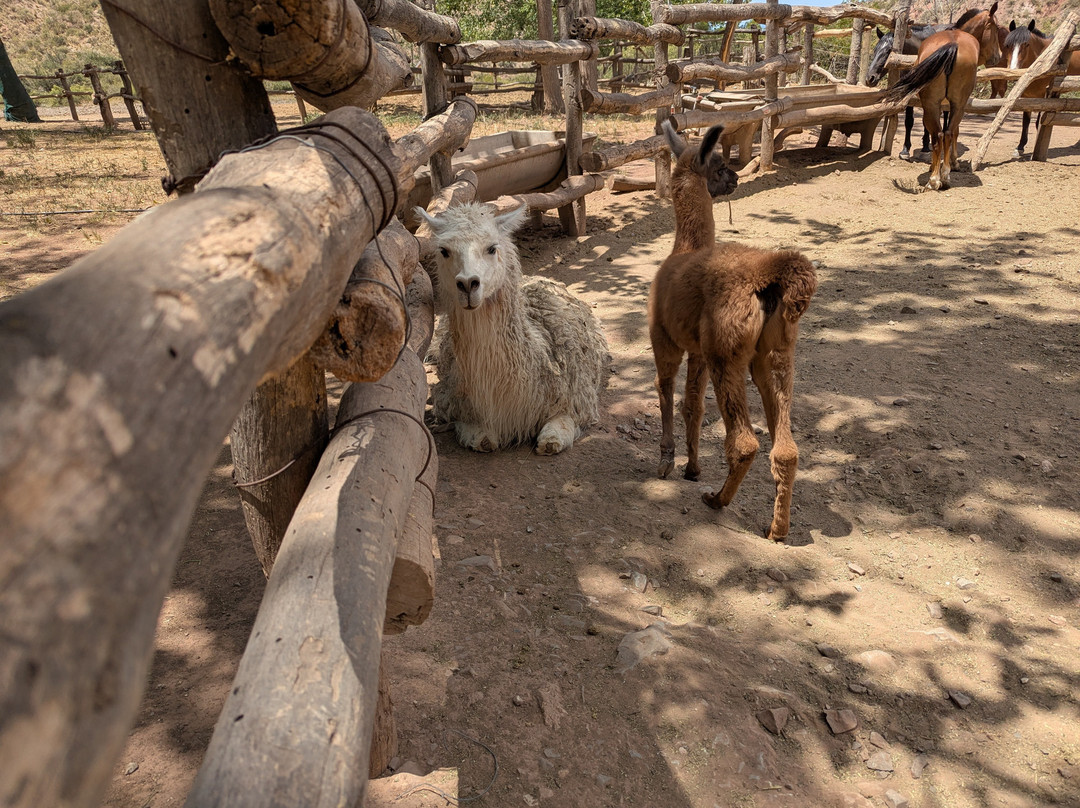 San Ignacio Estancia Andina主图