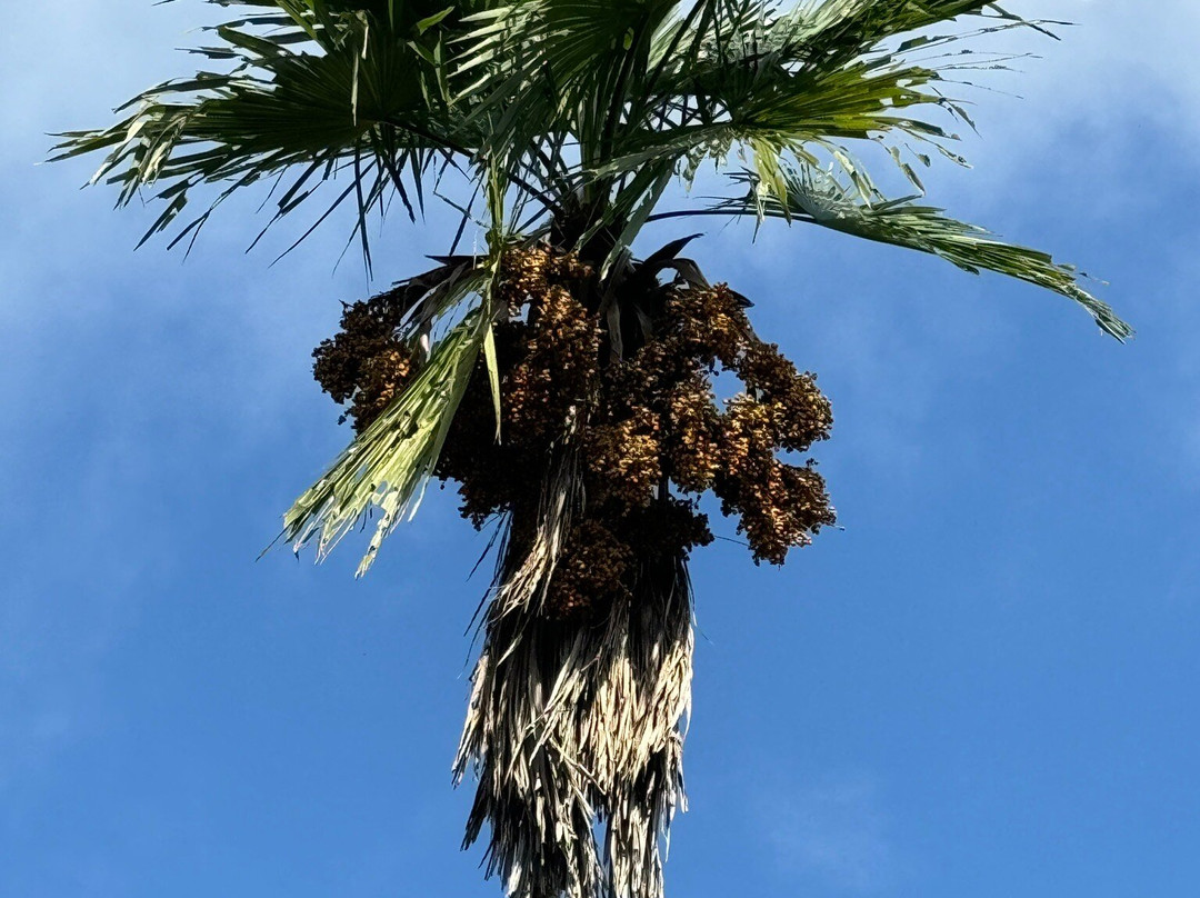 Gorakha Nath Temple Gorkha-Gorkha必去景点