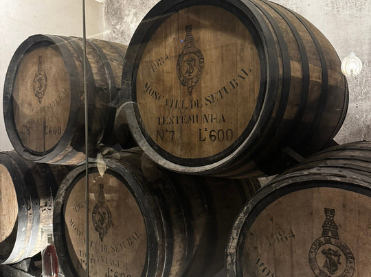 José Maria de Fonseca-Azeitao必去景点