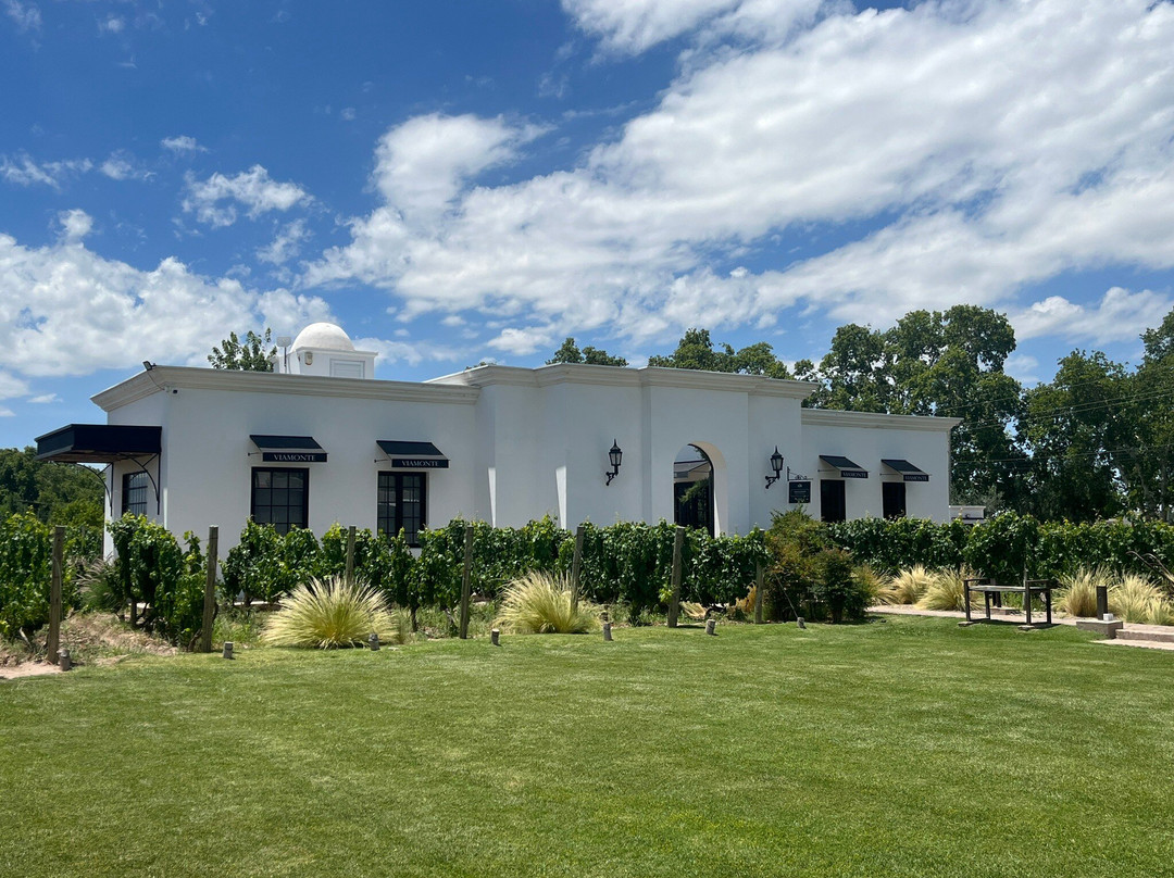 Viamonte Winery-路冉得库约必去景点