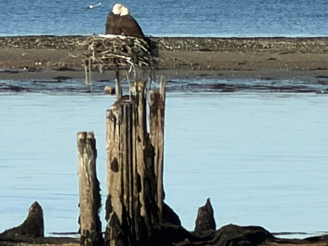 Casco Bay Lines Ferry Terminal-波特兰必去景点