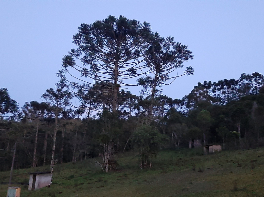 Parque Estadual da Serra do Mar-Cunha必去景点