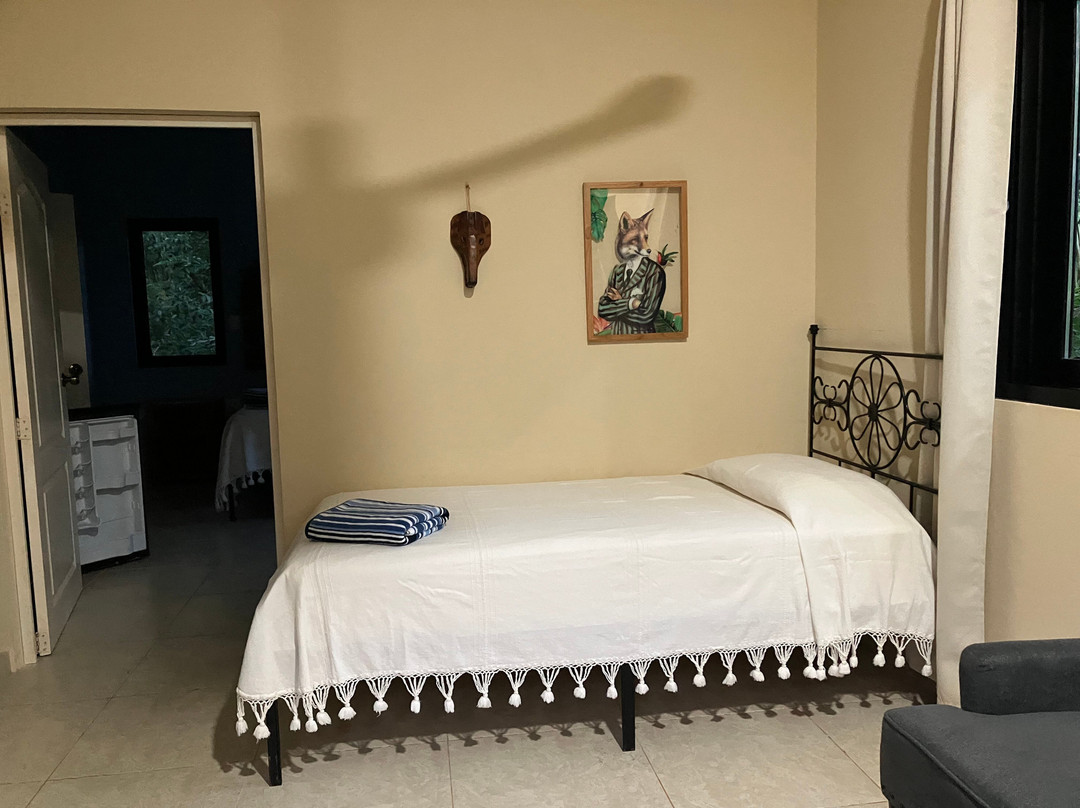 Coyote Mistico Bed & Breakfast主图