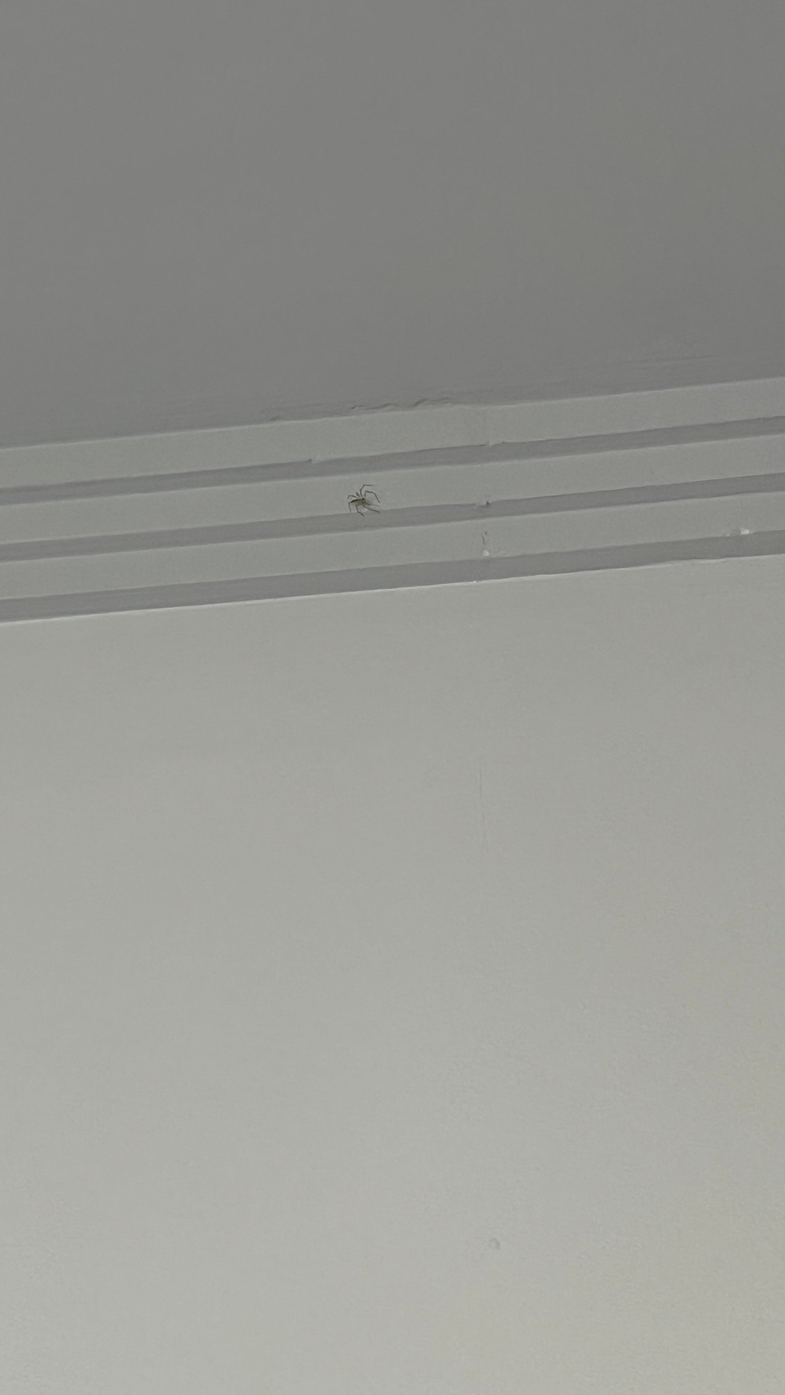 Hotel Golden Park Sorocaba & Convenções-官方