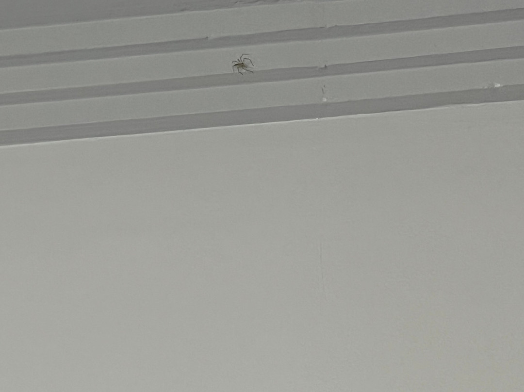 Hotel Golden Park Sorocaba & Convenções主图