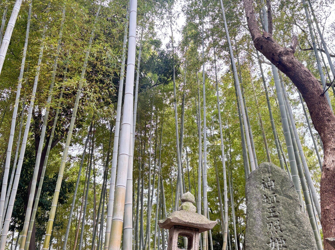 Hyotanyama Inari Shrine-东大阪市必去景点