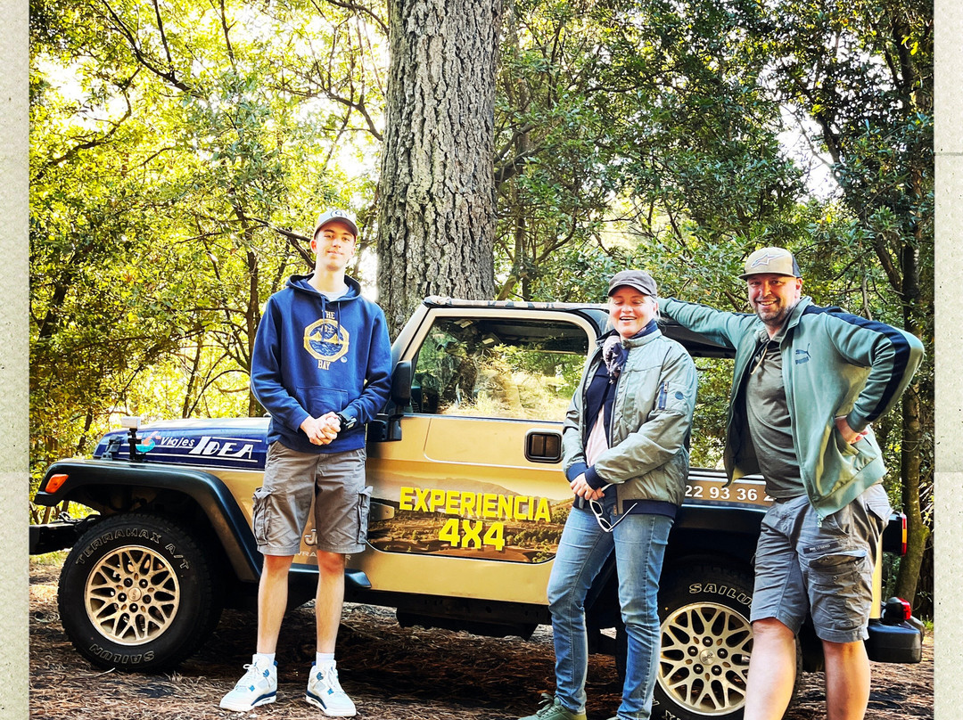 Viajes Idea 4x4 Tours La Palma-Mazo必去景点