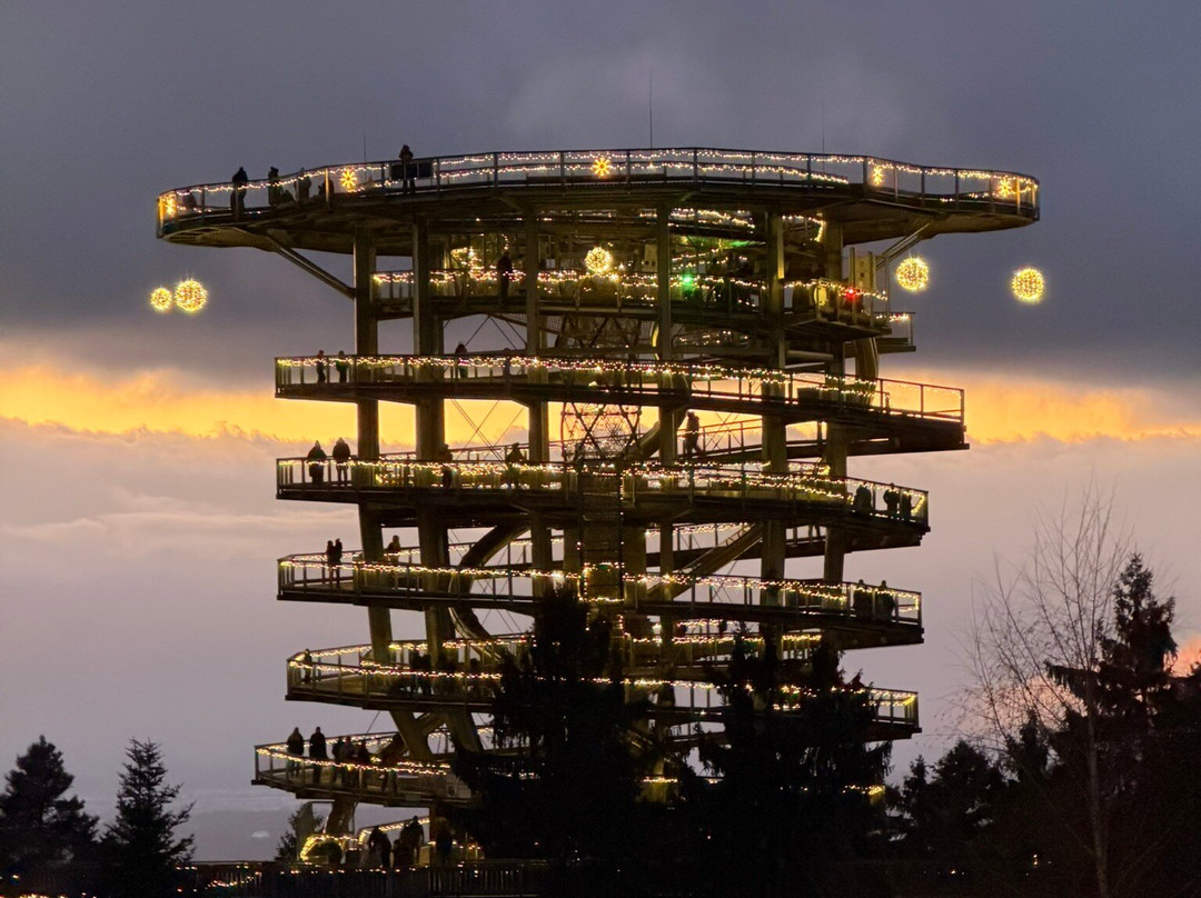 Waldwipfelweg-圣恩尔马尔必去景点