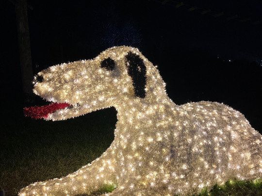 Skypark-Carlingford必去景点