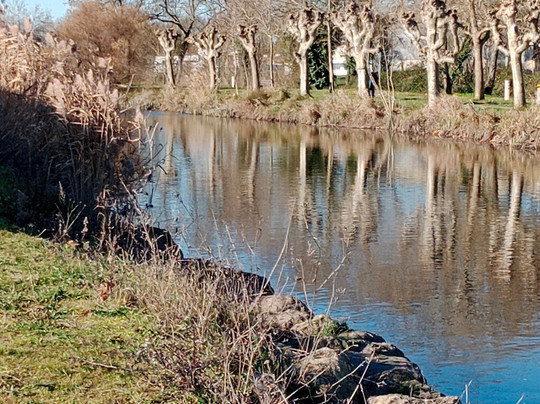 Port Du Ribérou-Saujon必去景点