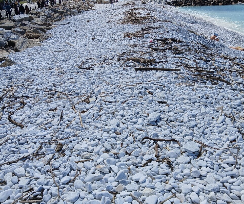 Scogli Marina di Pisa-Marina di Pisa必去景点