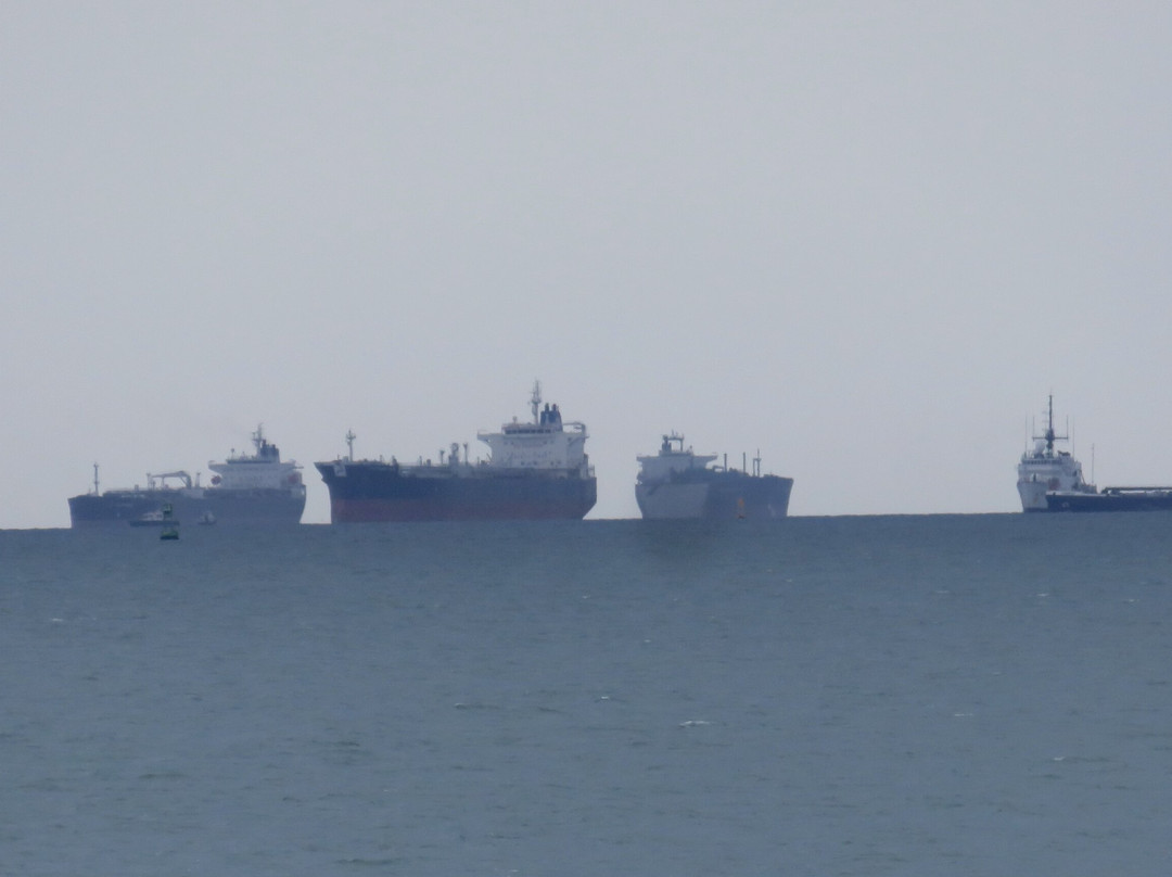 Biomuseo-巴拿马城必去景点